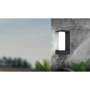 Applique murale d'extérieur Eglo CIVIDINO LED Noir, 1 lumière