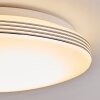 Plafonnier Niebla LED Blanc, 1 lumière