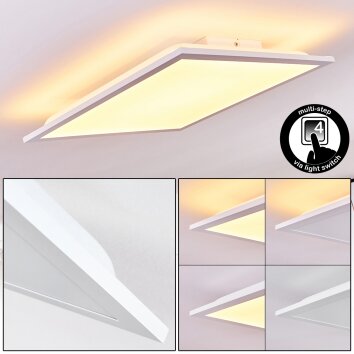 Panneau LED Badia Blanc, 2 lumières