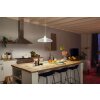 Philips HUE E27 15,5 Watt 2700 Kelvin 1600 Lumen