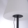 Lampadaire Leuchten Direkt HOLLY LED Noir, 1 lumière, Changeur de couleurs