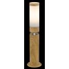 Borne lumineuse Globo JAICY Couleur bois, 1 lumière