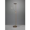 Lampadaire à vasque Trio Brantford LED Vieux laiton, 1 lumière