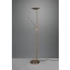 Lampadaire à vasque Trio Brantford LED Vieux laiton, 1 lumière