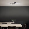 Plafonnier Brilliant Bray LED Noir, Blanc, 1 lumière