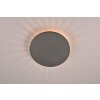 Applique murale d'extérieur Trio Belly LED Anthracite, 1 lumière