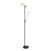 Lampadaire à vasque Steinhauer Daphne LED Noir, 2 lumières