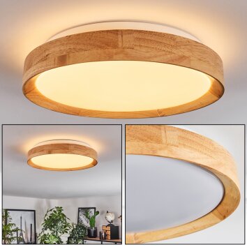 Sofo Plafonnier LED Blanc, 1 lumière