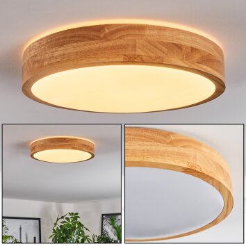 Sofo Plafonnier LED Blanc, 1 lumière