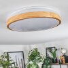 Sofo Plafonnier LED Blanc, 1 lumière, Télécommandes