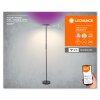 Wifi Lampadaire Luminaires Ledvance LED Noir, 1 lumière, Changeur de couleurs