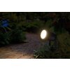 Endura Spot de jardin Luminaires Ledvance LED Noir, 1 lumière