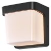 Endura Lampe murale d´extérieur Luminaires Ledvance LED Gris, 1 lumière