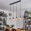 Lauden Suspension Clair, 4 lumières