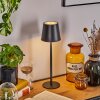 Salgadinho Lampe à poser LED Noir, 1 lumière