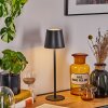 Salgadinho Lampe à poser LED Noir, 1 lumière