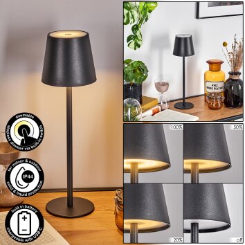 Salgadinho Lampe à poser LED Noir, 1 lumière