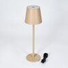 Salgadinho Lampe à poser LED Beige, 1 lumière