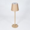 Salgadinho Lampe à poser LED Beige, 1 lumière