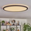 Endrup Plafonnier LED Noir, 1 lumière