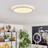 Endrup Plafonnier LED Blanc, 1 lumière