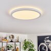 Endrup Plafonnier LED Blanc, 1 lumière