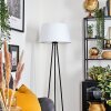 Bassagoda Lampadaire beige, 1 lumière