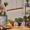 Carbellino Suspension LED Blanc, 1 lumière