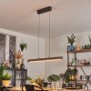 Carbellino Suspension LED Blanc, 1 lumière