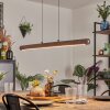 Carbellino Suspension LED Brun foncé, Noir, 1 lumière