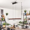 Carbellino Suspension LED Brun foncé, Noir, 1 lumière