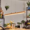 Carbellino Suspension LED Écru, Noir, 1 lumière