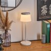 Algeraz Lampe de table d'extérieur, Lampe à poser LED Blanc, 1 lumière