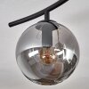 Gastor Plafonnier, Boule lumineuse Chrome, Fumé, 6 lumières