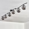 Gastor Plafonnier, Boule lumineuse Chrome, Fumé, 6 lumières