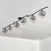 Gastor Plafonnier, Boule lumineuse Chrome, Clair, Fumé, 6 lumières