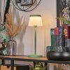 Algeraz Lampe de table d'extérieur, Lampe à poser LED Vert, 1 lumière