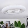 Benesal Plafonnier, Ventilateur de plafond lumineux LED Blanc, 1 lumière, Télécommandes