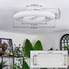 Benesal Plafonnier, Ventilateur de plafond lumineux LED Blanc, 1 lumière, Télécommandes