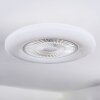 Benesal Plafonnier, Ventilateur de plafond lumineux LED Blanc, 1 lumière, Télécommandes