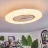 Benesal Plafonnier, Ventilateur de plafond lumineux LED Blanc, 1 lumière, Télécommandes