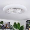 Benesal Plafonnier, Ventilateur de plafond lumineux LED Blanc, 1 lumière, Télécommandes