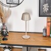 Asen Lampe de table d'extérieur, Lampe à poser LED Beige, 1 lumière