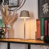 Asen Lampe de table d'extérieur, Lampe à poser LED Beige, 1 lumière