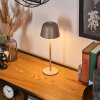 Asen Lampe de table d'extérieur, Lampe à poser LED Beige, 1 lumière