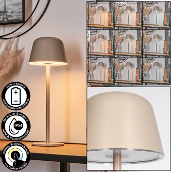 Asen Lampe de table d'extérieur, Lampe à poser LED Beige, 1 lumière