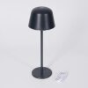 Asen Lampe de table d'extérieur, Lampe à poser LED Noir, 1 lumière