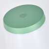 Algeraz Lampe de table d'extérieur, Lampe à poser LED Vert, 1 lumière