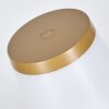 Algeraz Lampe de table d'extérieur, Lampe à poser LED Beige, 1 lumière