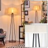 Bassagoda Lampadaire beige, Blanc, 1 lumière